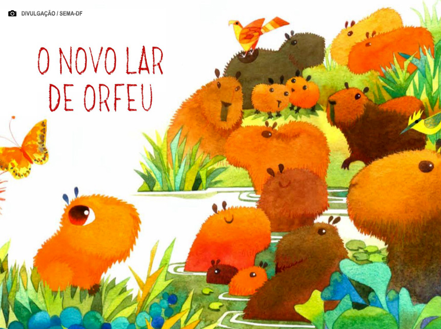 Livro infantil de educação ambiental repercute situação das capivaras no DF