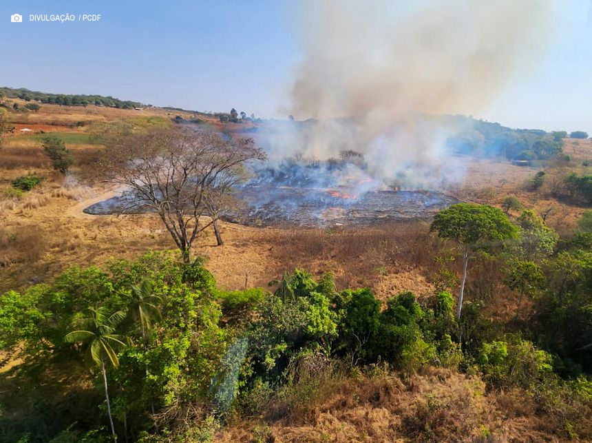 Operação Curupira, da PCDF, prende mais dois suspeitos de causar incêndios florestais
