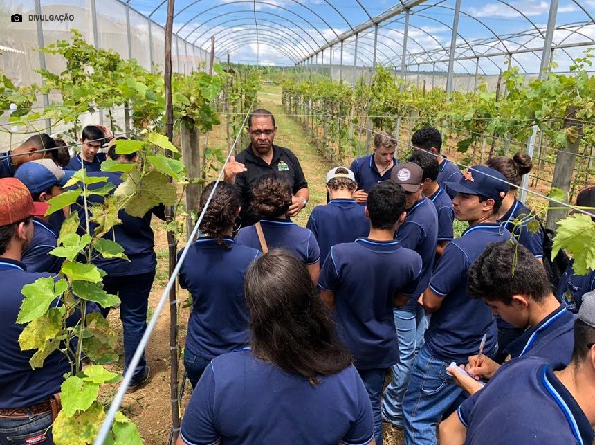 III Feira do Produtor Rural da Universidade de Brasília UnB, será realizada esse mês nos dias 26,27 e 28.