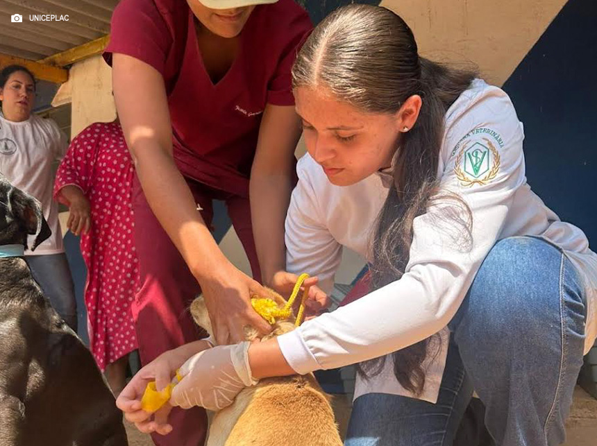 Alunos do UNICEPLAC participam da campanha de vacinação antirrábica da Secretaria de Saúde do DF