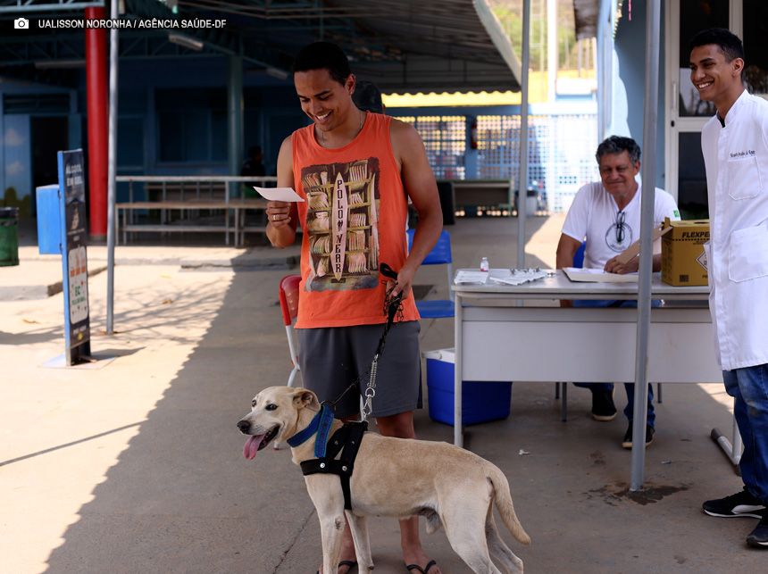 Saúde aplica mais de 49 mil doses de vacina antirrábica e campanha segue até 28 de setembro