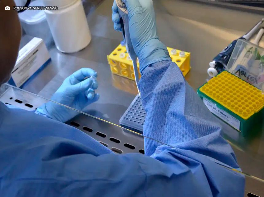 Nova variante de vírus da Covid-19 é identificada em três estados