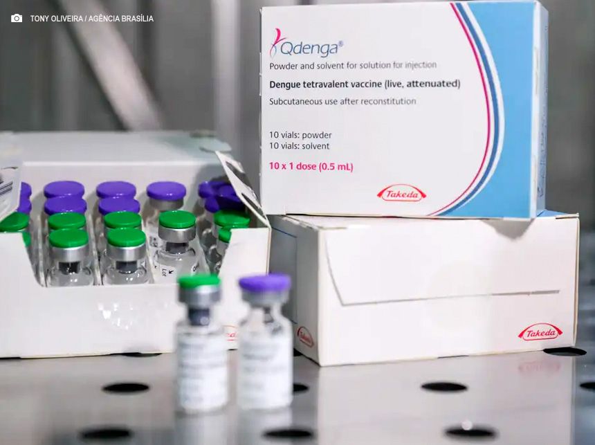 Fiocruz oficializa pedido para produzir vacina contra dengue no Brasil