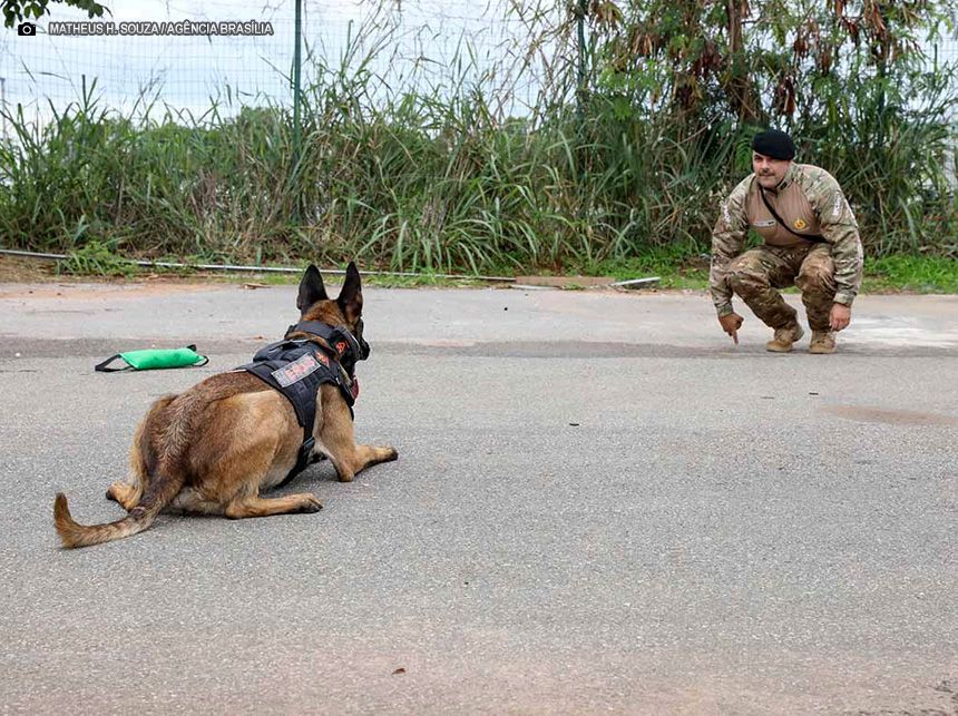 Segurança Pública: Trabalho do BPCães ganha destaque em ações no G20 e após explosões nas proximidades do STF