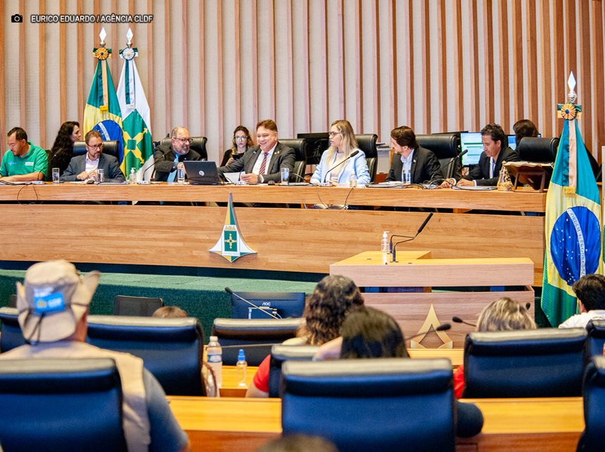 Agentes de Saúde: participantes de audiência defendem convocação de profissionais para o combate à dengue