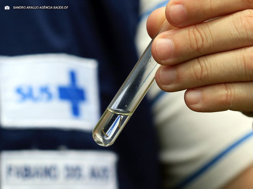 Dia Nacional de Combate à Dengue destaca mobilização contra o Aedes aegypti