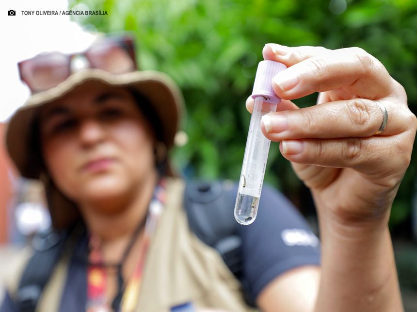 Novo aplicativo reforça combate à dengue com mapeamento de focos do Aedes aegypti no DF