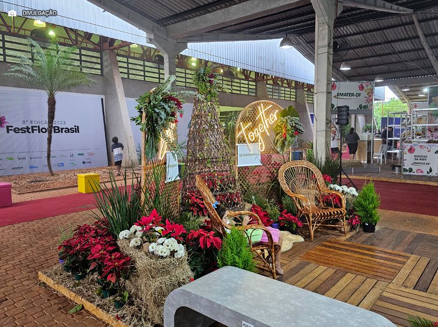 Programação da FestFlor Brasil 2024 está repleta de oficinas, palestras, exposições e venda de variadas espécies de flores e plantas