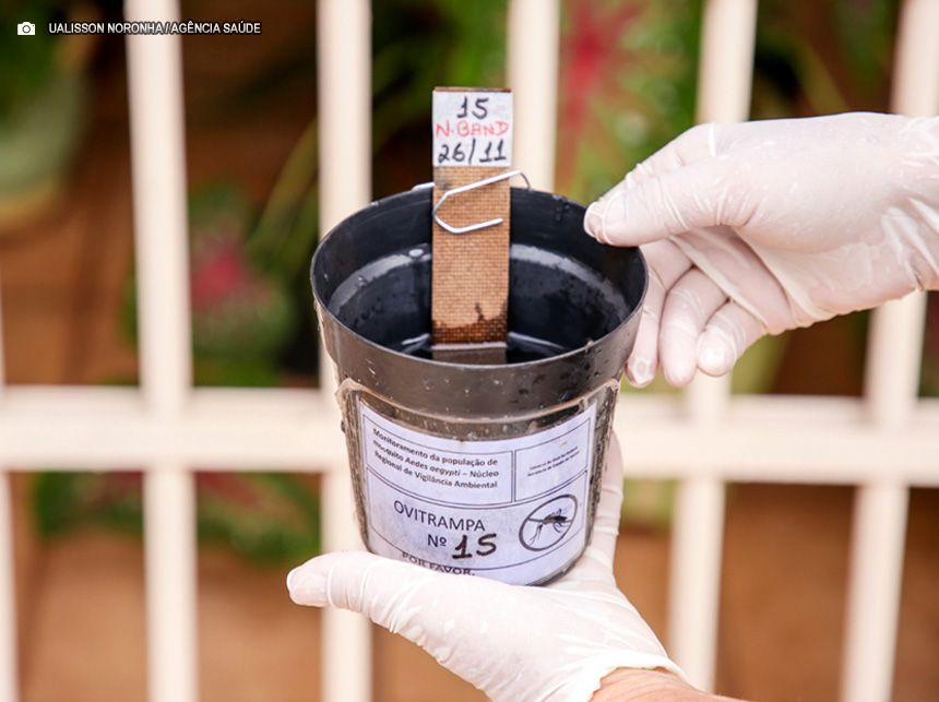 Dezoito regiões administrativas do DF contam com as ovitrampas no combate à dengue
