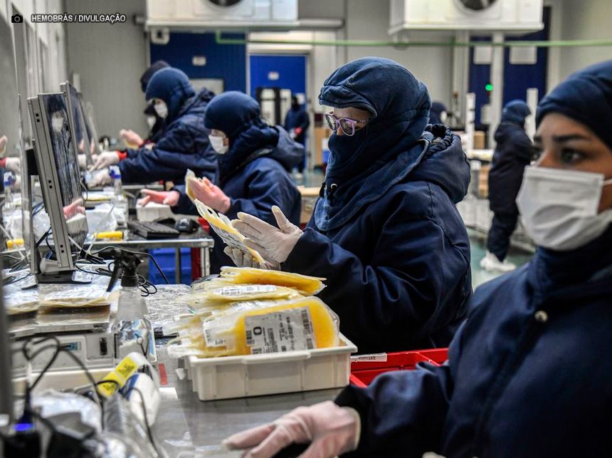 Coleta de plasma bate recorde em dez meses de 2024, diz Hemobrás