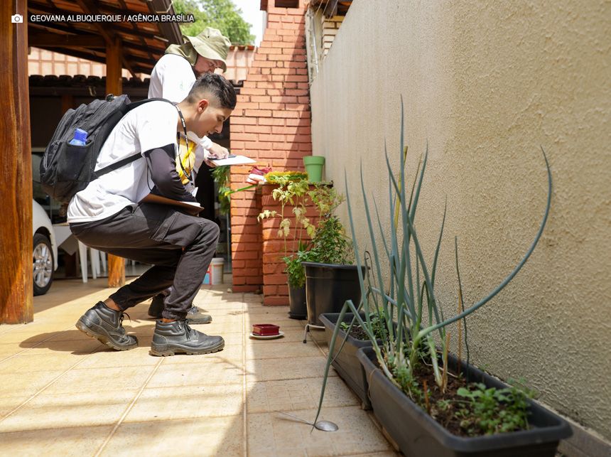 Ceilândia recebe Dia D de mobilização nacional contra a dengue neste sábado (14)