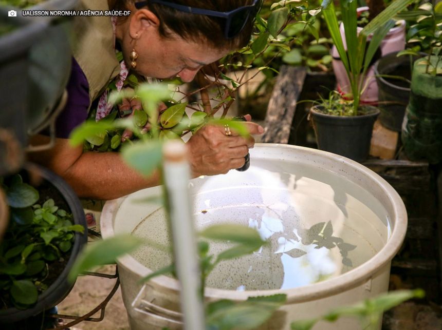 Operação intensifica fiscalização para evitar dengue, chikungunya e zika
