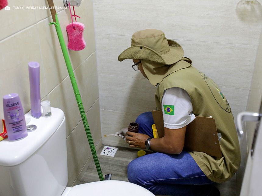 Distrito Federal recebe mutirão de combate à dengue neste sábado (14)