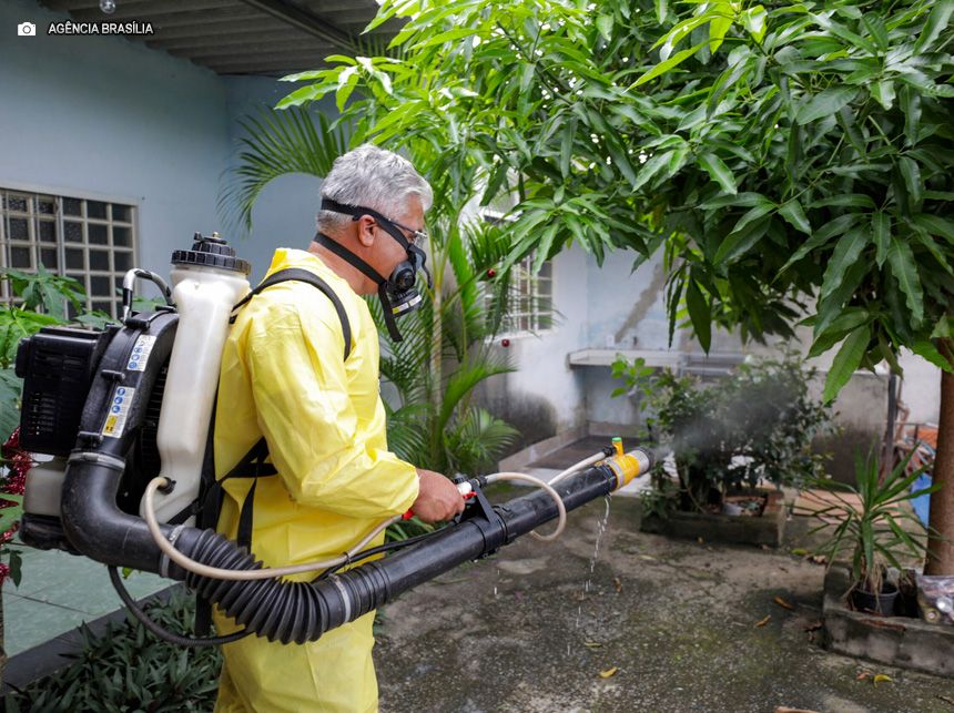 DF terá Dia D de mobilização nacional contra a dengue no próximo sábado (14), em Ceilândia