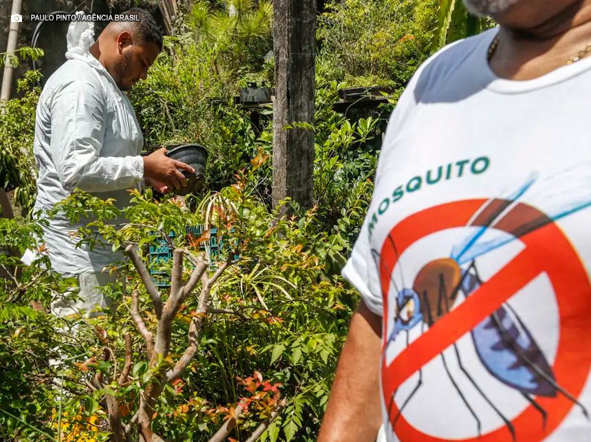 Brasil tem mais de 6,5 milhões de casos prováveis de dengue este ano, aponta Ministério da Saúde