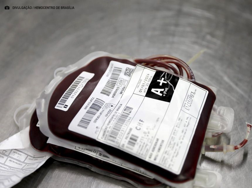 Evento online debate assistência hemoterápica no contexto da dengue