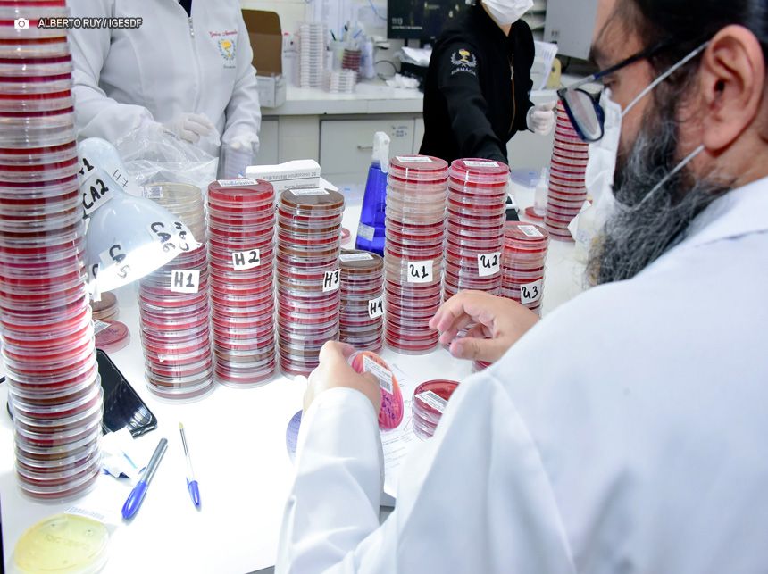 IGESDF abre processo seletivo para médico, farmacêutico e analista contábil