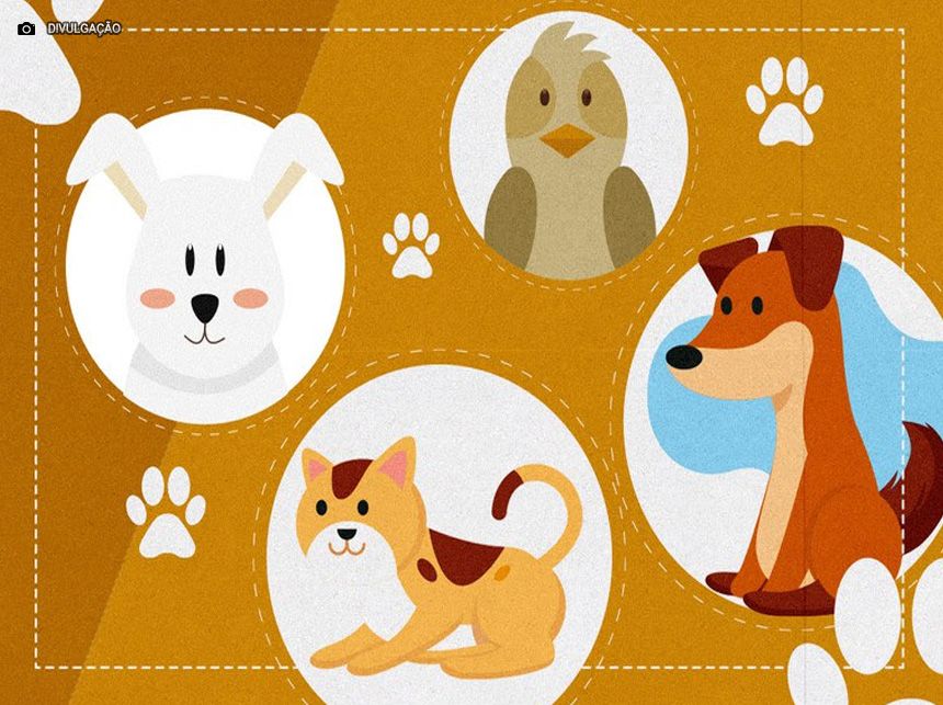 Brasil avança na proteção animal com ações multissetoriais e atuação integrada