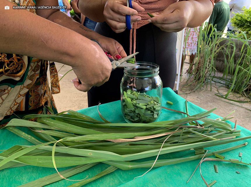 UBS do Recanto das Emas ensina moradores a produzir difusores de citronela
