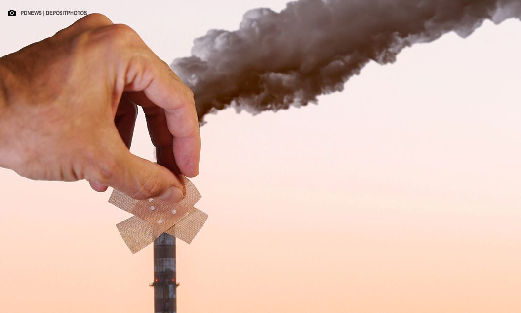 Com mercado de carbono regulado, empresas podem começar o ano planejando ações ambientais, observa FecomercioSP