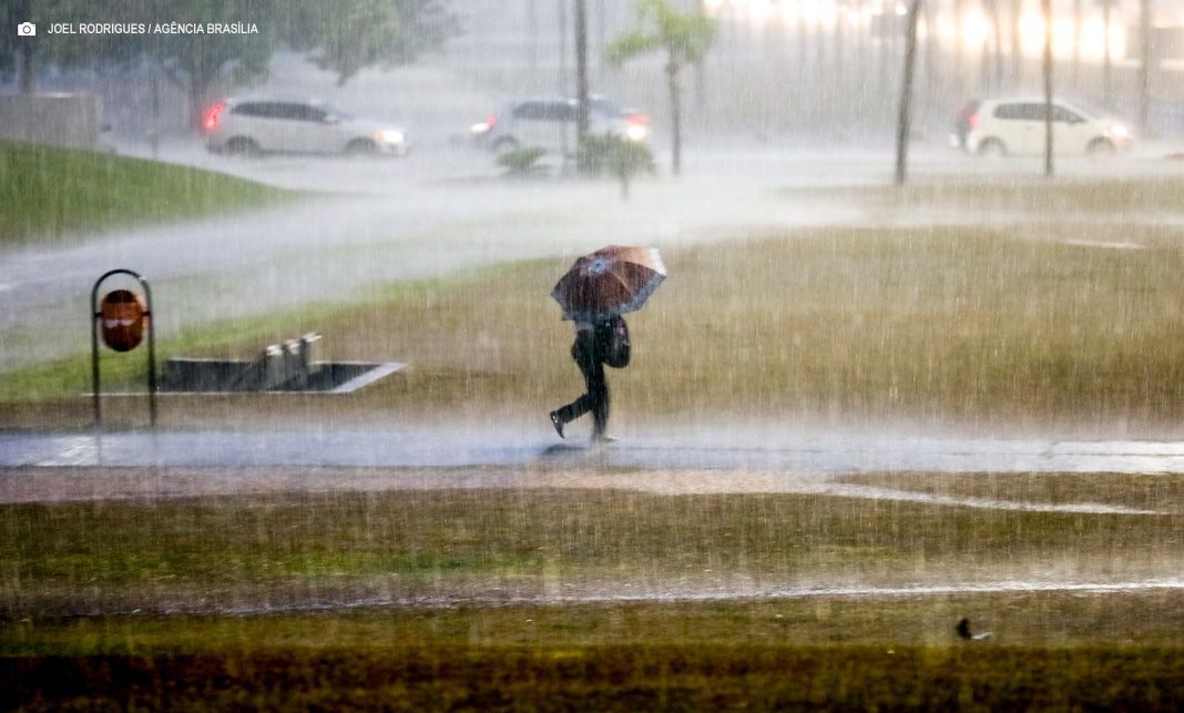 Período de chuvas intensas alerta para o cuidado contra leptospirose