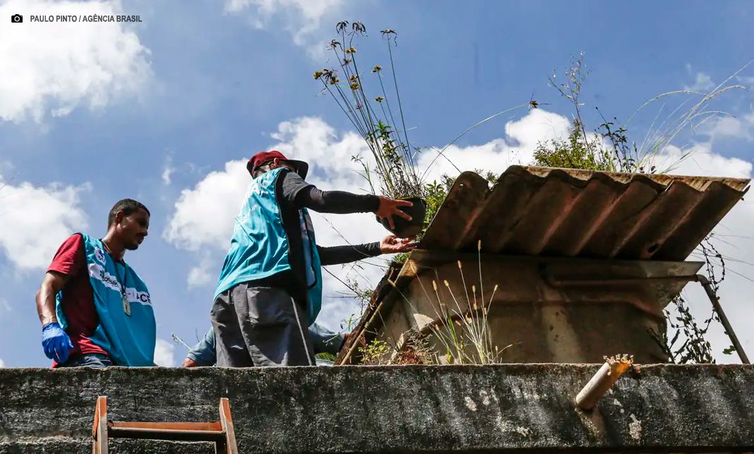Saúde reforça monitoramento e ações de controle da dengue em 4 estados
