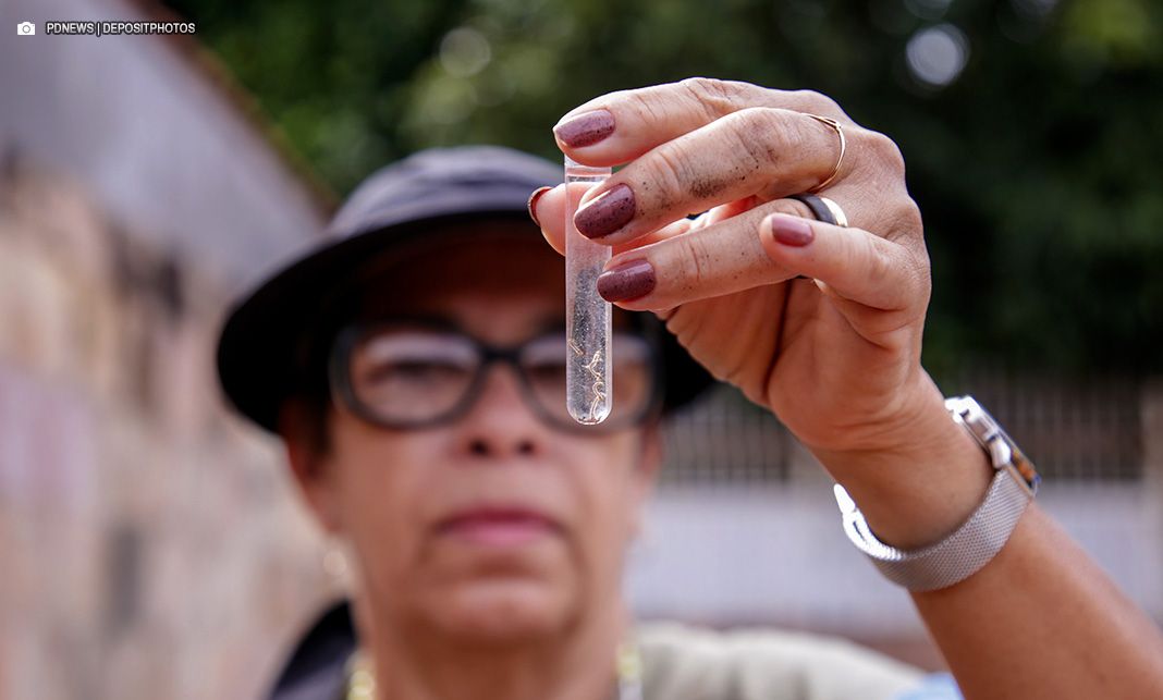 Mesmo com queda nos casos, Saúde do DF permanece vigilante no combate à dengue