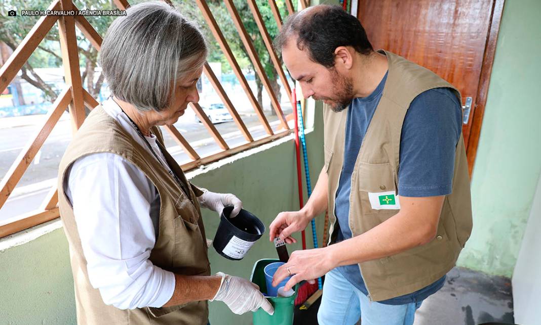 Armadilhas contra o Aedes aegypti ajudam equipes da Vigilância Ambiental no combate à dengue