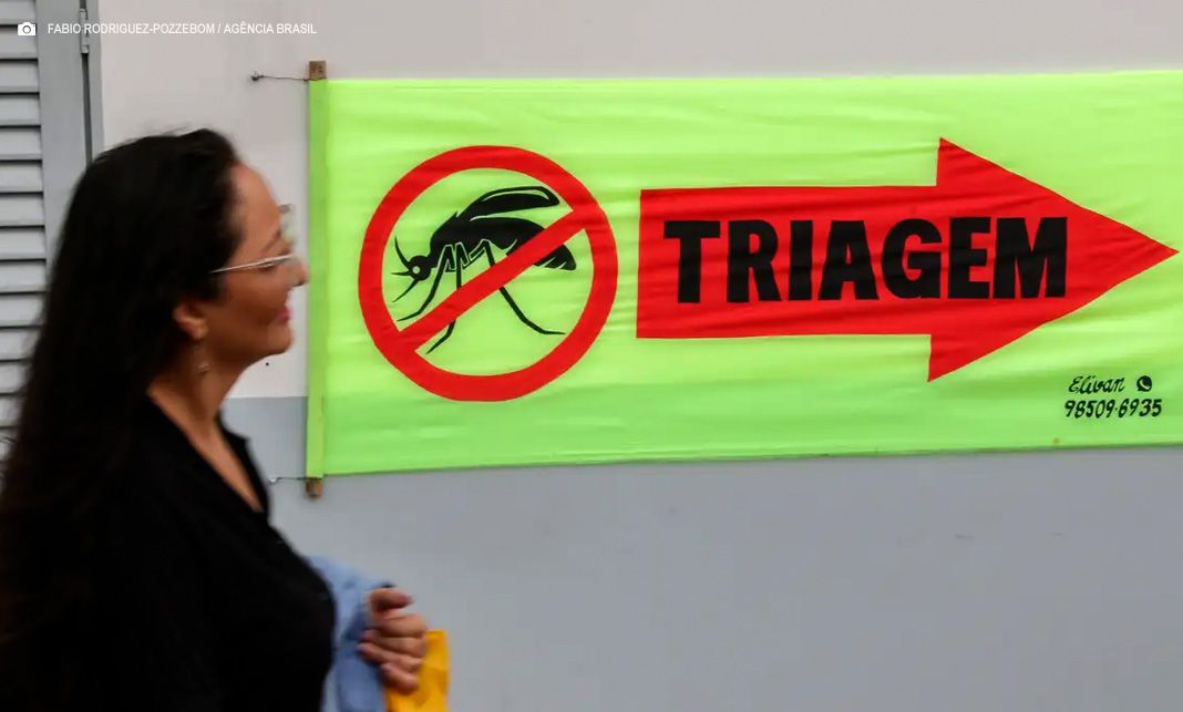 Dengue: Entenda o que são sorotipos e por que o tipo 3 preocupa