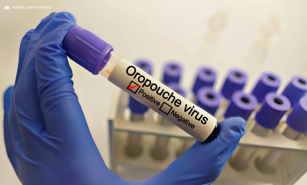 Brasil registra quase 3 mil casos de Oropouche em 2025