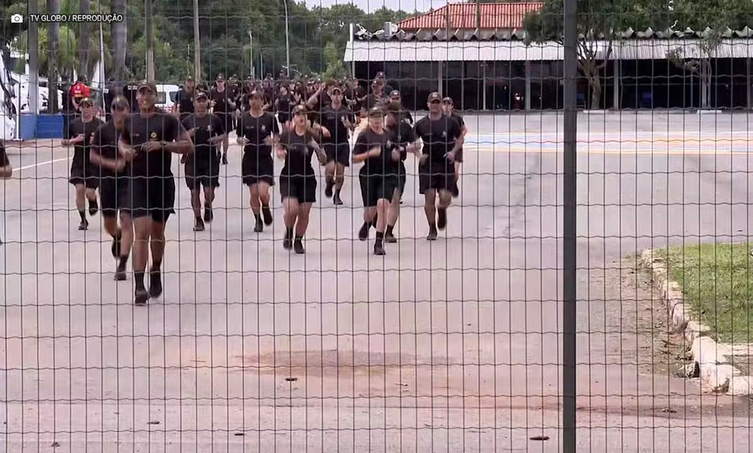 MPDFT requisita informações sobre infestação de ratos no Complexo de Ensino da PMDF