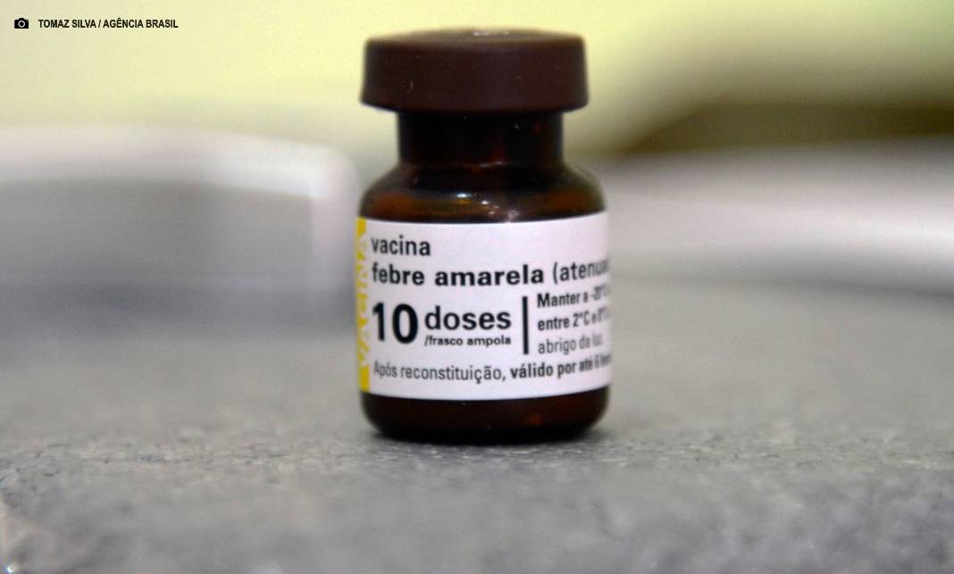 São Paulo já tem mais mortes por febre amarela neste ano do que em todo 2024