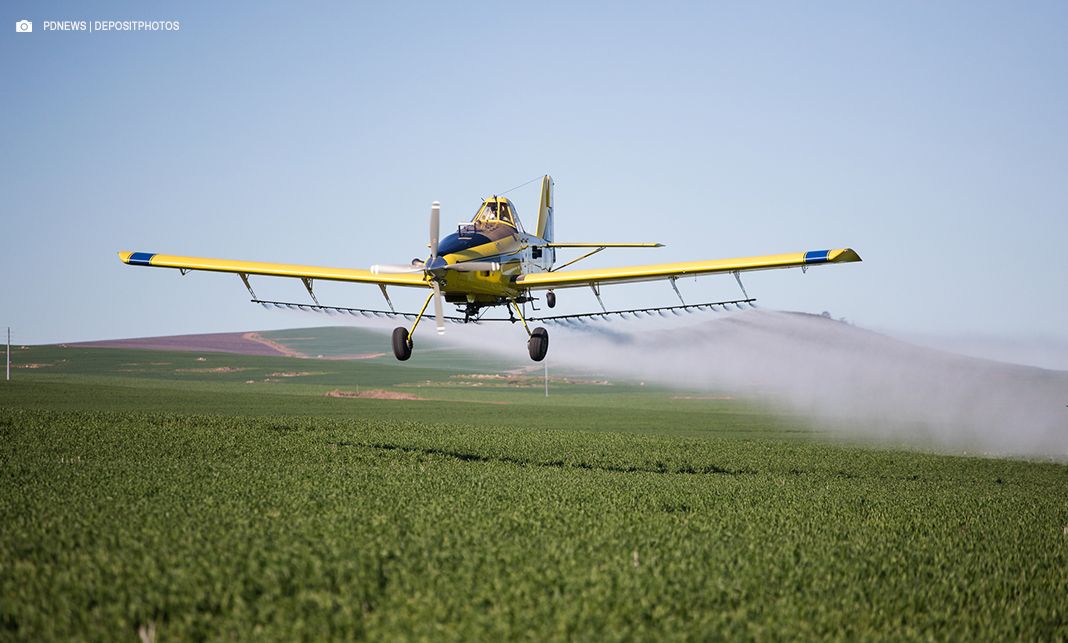 Estudo constata presença de agrotóxico em alimentos ultraprocessados