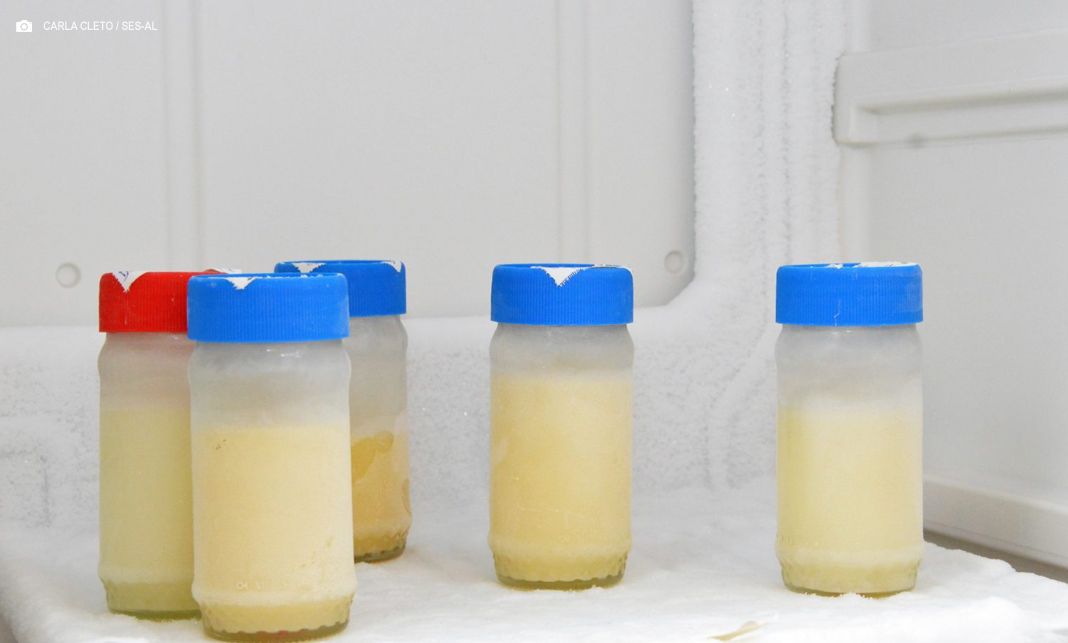 Com queda nos estoques, banco de leite do Hospital Regional de Santa Maria convoca doadoras