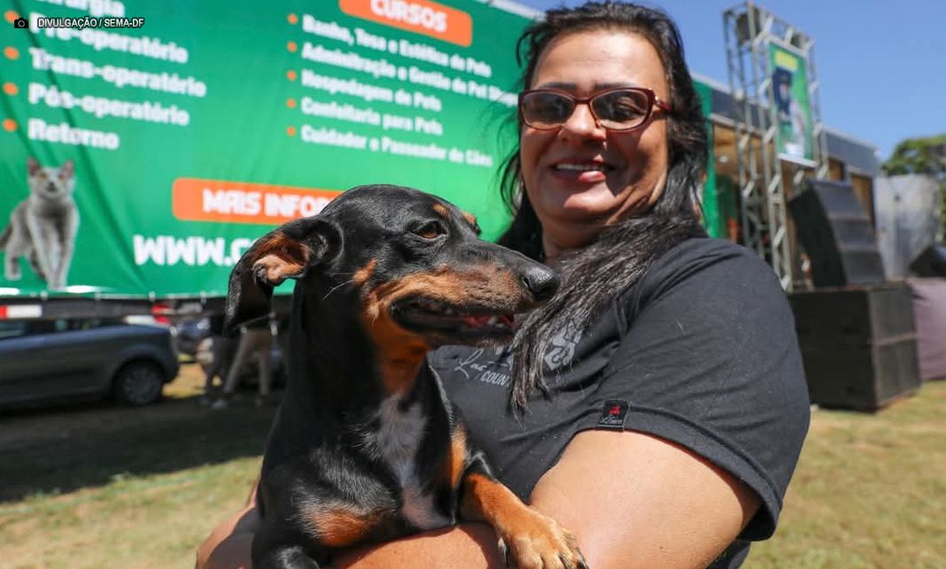 GDF promove segunda edição de programa com castração gratuita e capacitação profissional