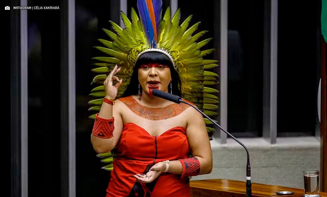 Célia Xakriabá critica substituição na comissão do marco temporal