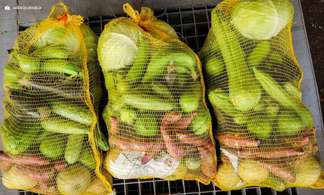 Cuidado: CRAS não envia servidores às residências para agendar a entrega de cestas básicas