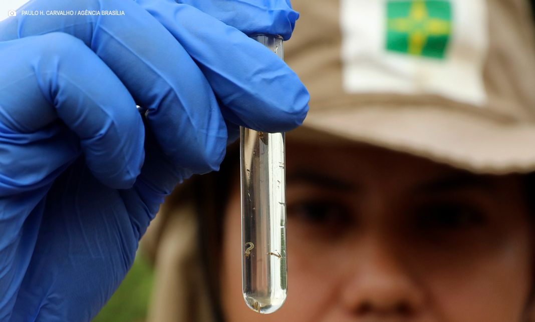 Nomeação de agentes, mutirões de limpeza e tecnologia fortalecem ações contra a dengue no DF