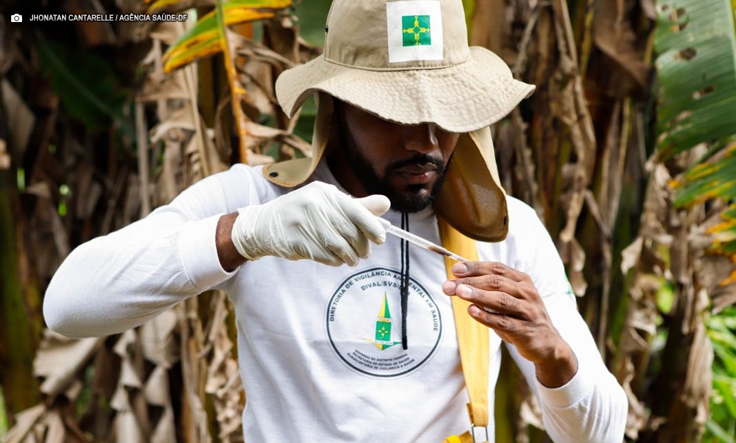 Saúde moderniza ferramenta que identifica focos e planeja ações contra a dengue