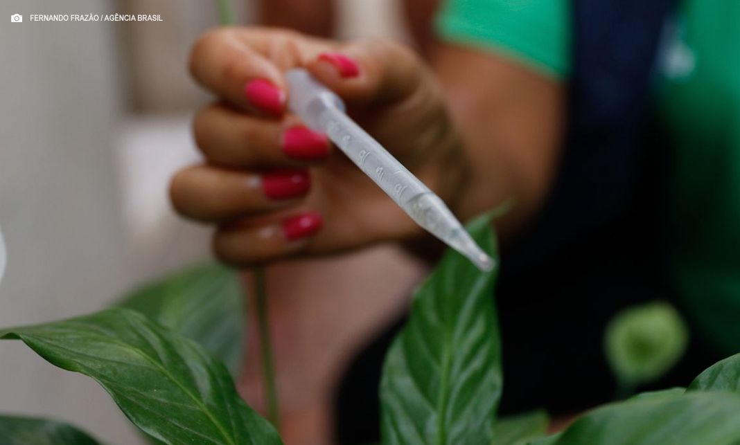 Com 300 casos por 100 mil habitantes, São Paulo enfrenta epidemia de dengue