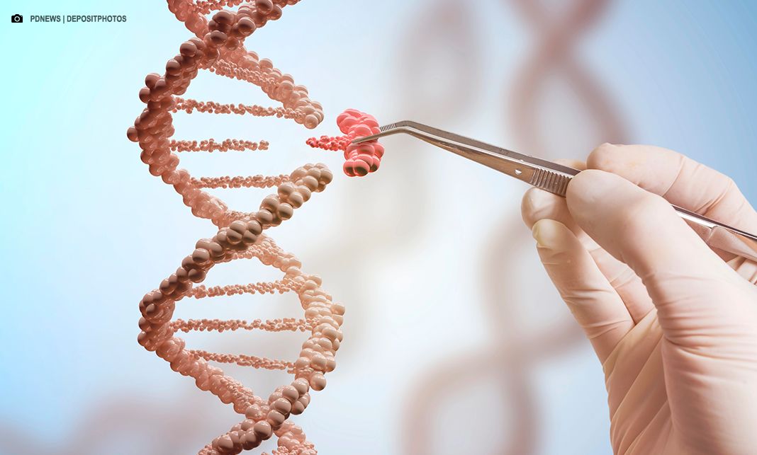 MCTI anuncia abertura de inscrições para bolsas de estudo e financiamento de pesquisa do ICGEB