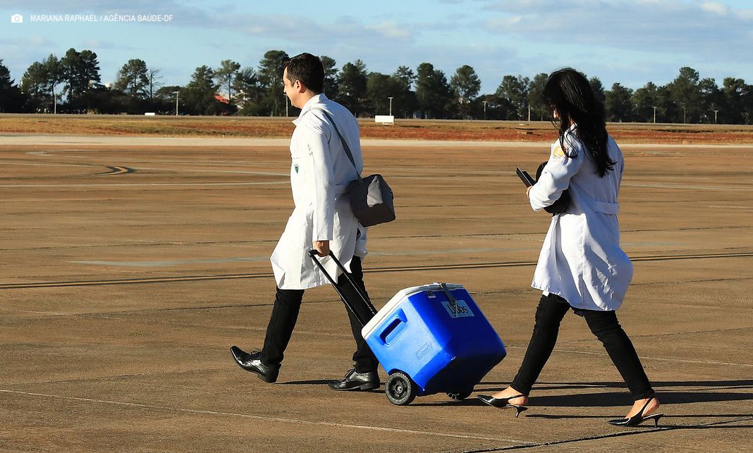 DF registra recorde de transplantes de coração, fígado e medula óssea em 2024