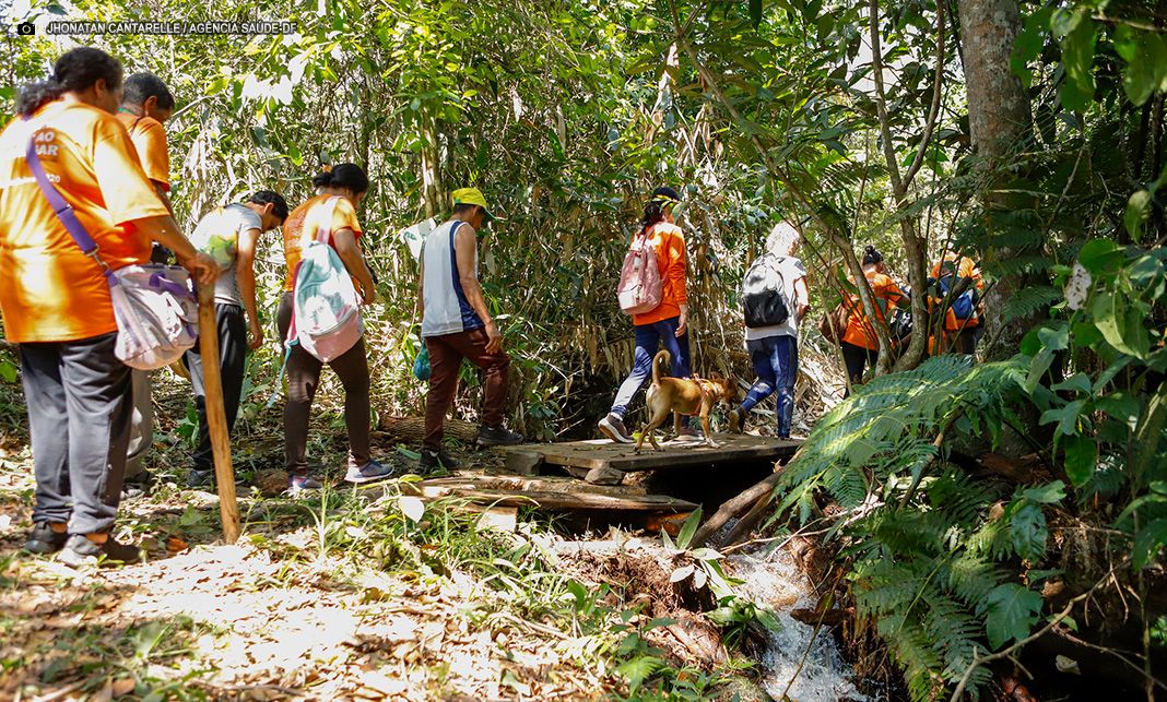 Natureza como terapia: Cerrado auxilia na recuperação emocional