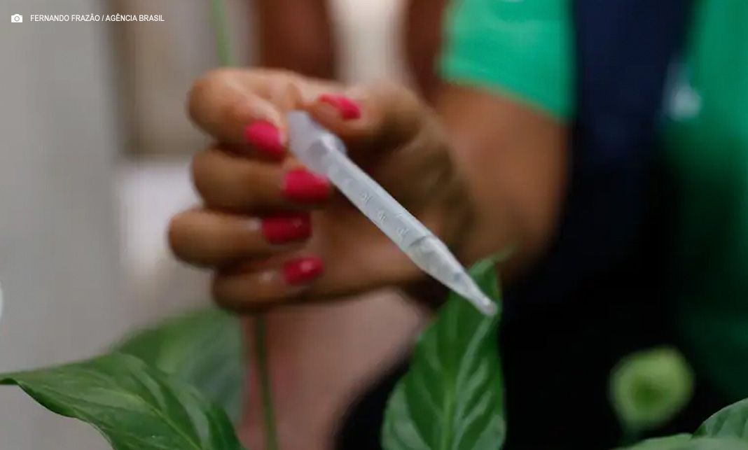 São Paulo se aproxima de 300 mil casos confirmados de dengue