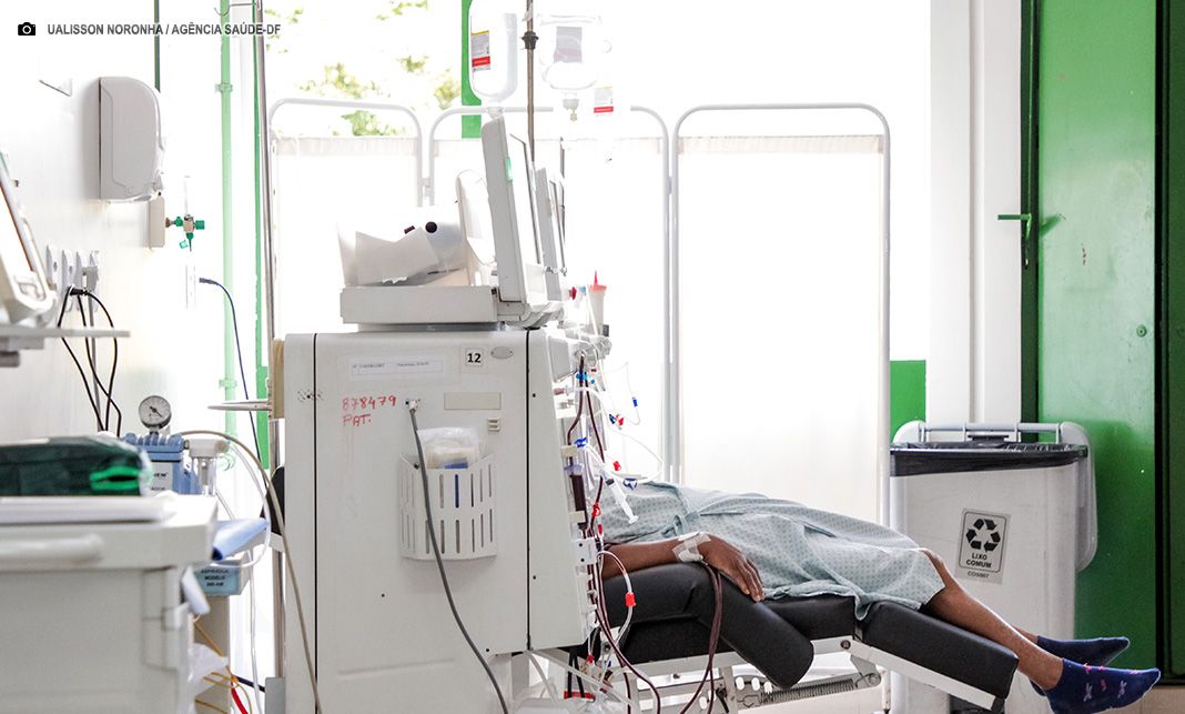 Dia Mundial do Rim reforça a importância da saúde renal