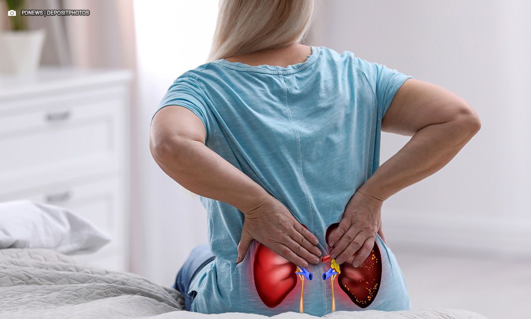 Dia Mundial do Rim 2025 é celebrado no DF nesta quinta (13)