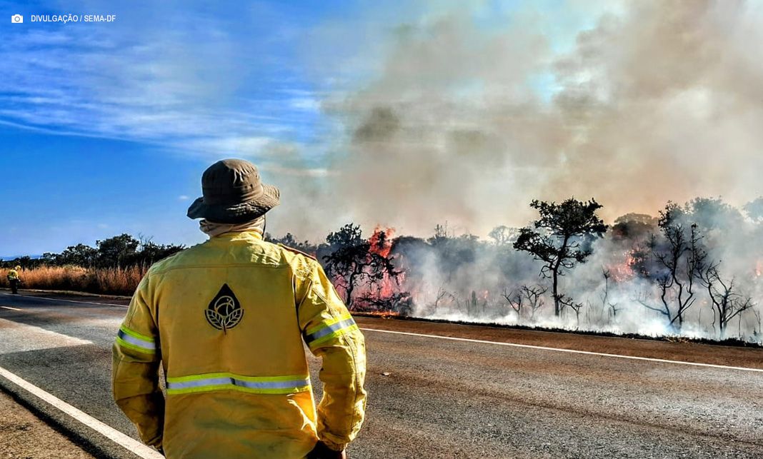 DF declara estado de emergência ambiental para combater incêndios florestais