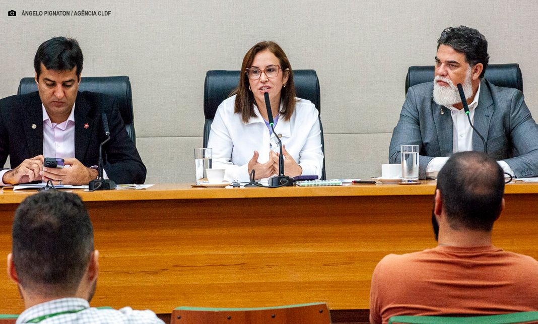 Comissão de Saúde da CLDF cobra urgência do GDF para ampliar saúde mental de servidores da segurança e saúde