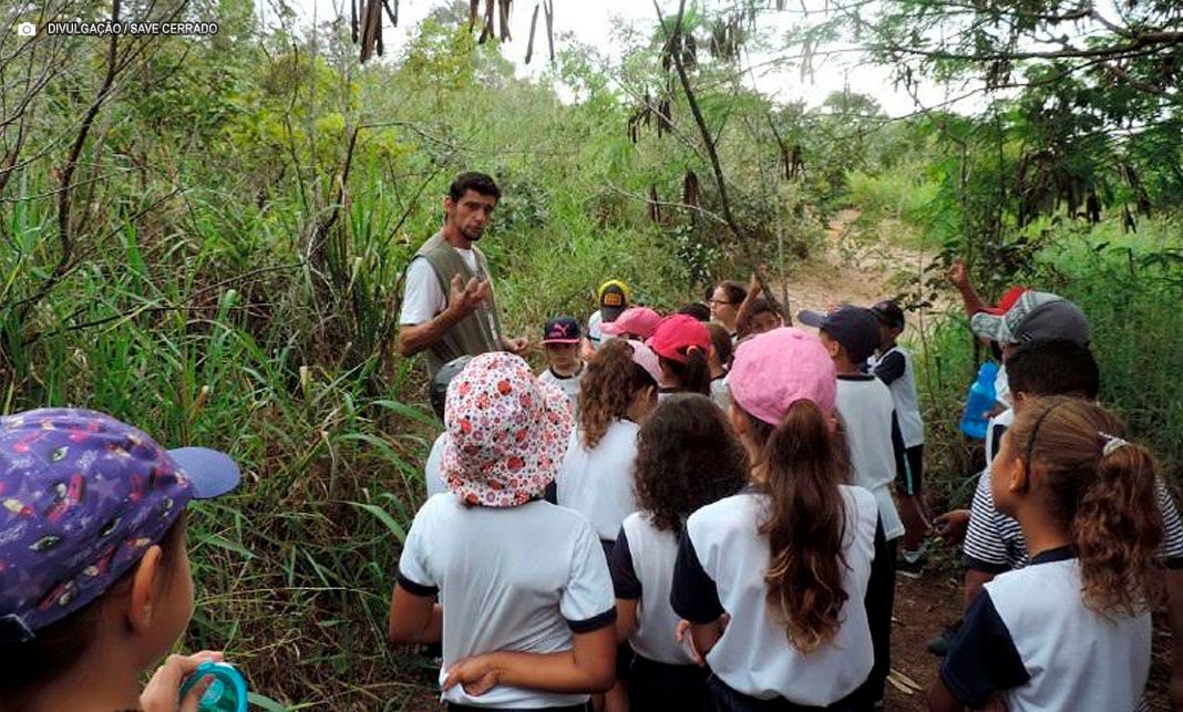 Cerrado Vivo chega a Samambaia na próxima semana com cultura, tradição e consciência ambiental