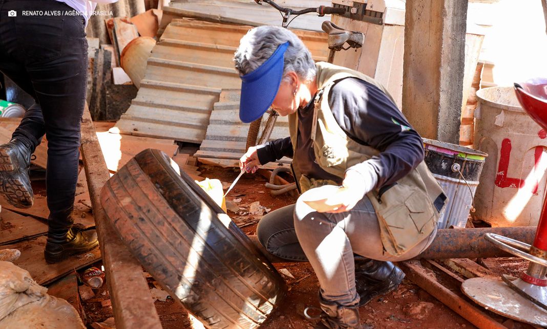 Residências da Estrutural recebem ação de combate a focos da dengue